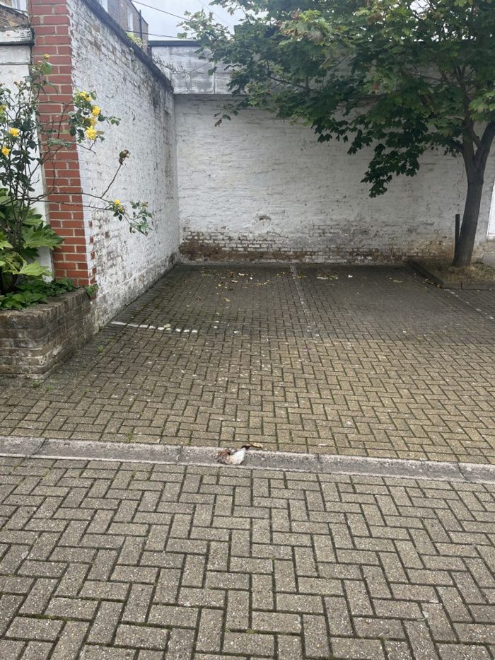 Photo of Parking space at Regis Pl, SW2