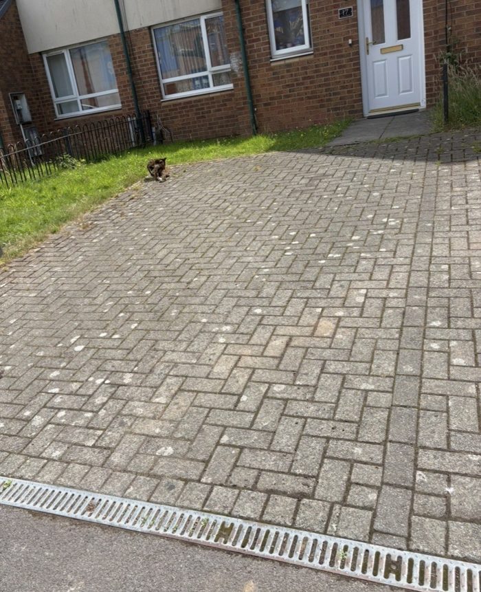 Photo of Davis Street, Cardiff, CF24