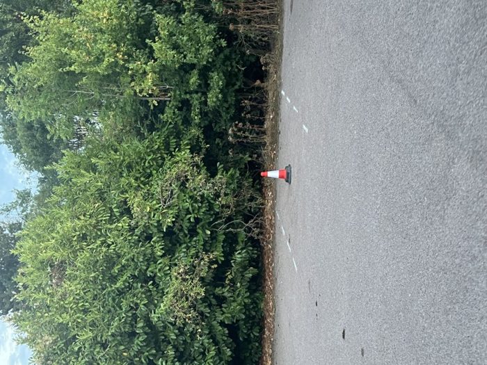 Photo of Bowbrookvale, Luton, LU2