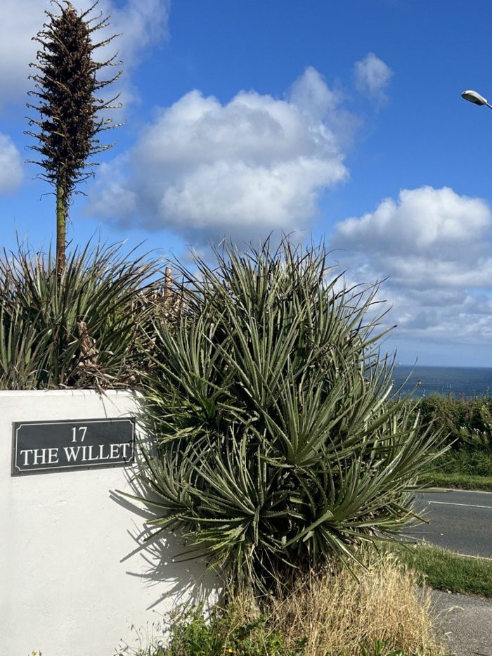 Photo of The Willet, Cornwall, TR7