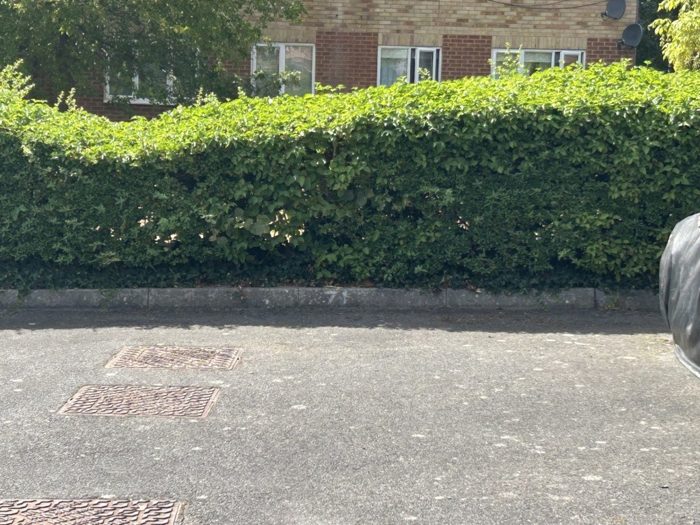 Photo of Varsity Drive, Richmond, TW1