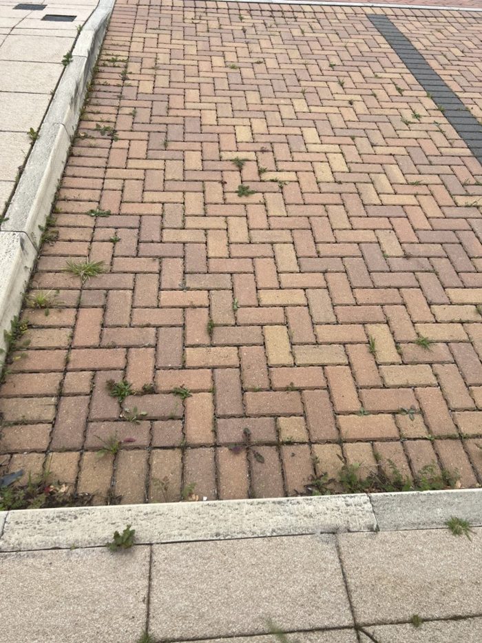 Photo of Ashton Rise, Bristol, BS3