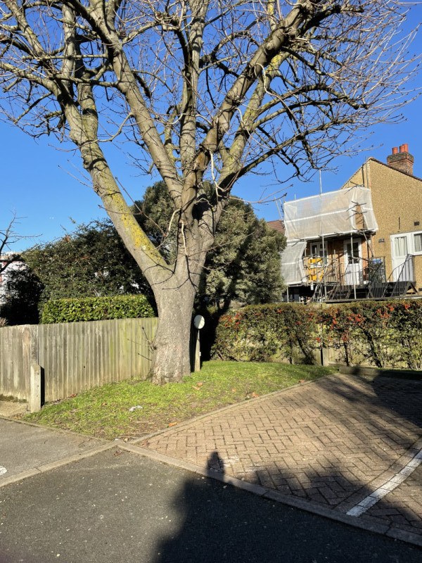 Photo of Shelley Way, Wimbledon, SW19