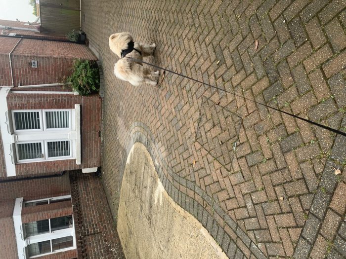 Photo of SO19, Southampton, SO19