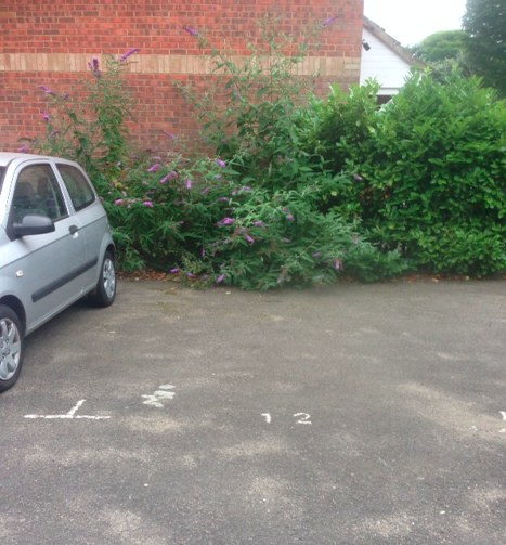 Photo of Bunning Way, Highbury, N7