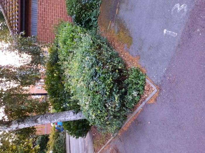 Photo of Swaythling Close, Enfield, N18