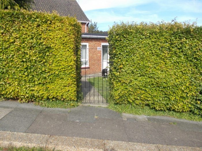 Photo of Twyford Road, Brighton and Hove, BN1