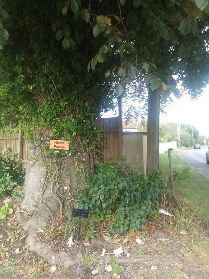 Photo of Beech House, BS40