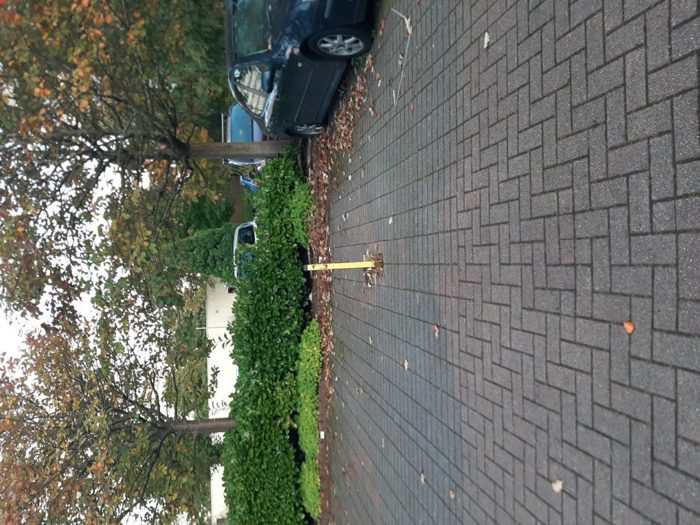 Photo of Grovepark Gardens, Glasgow City, G20