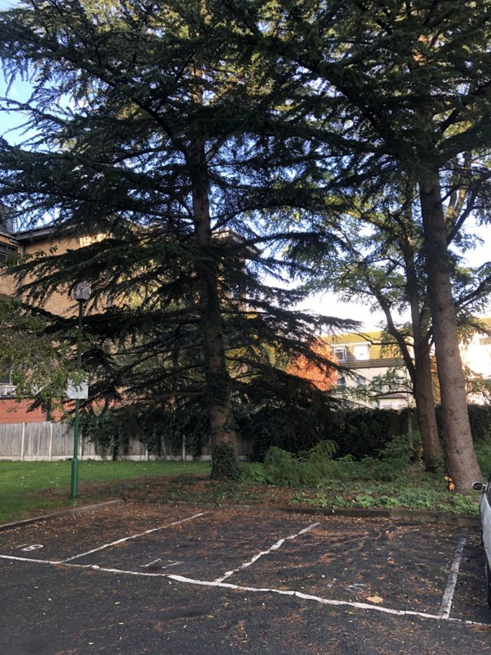 Photo of Viceroy Court, Croydon, CR0