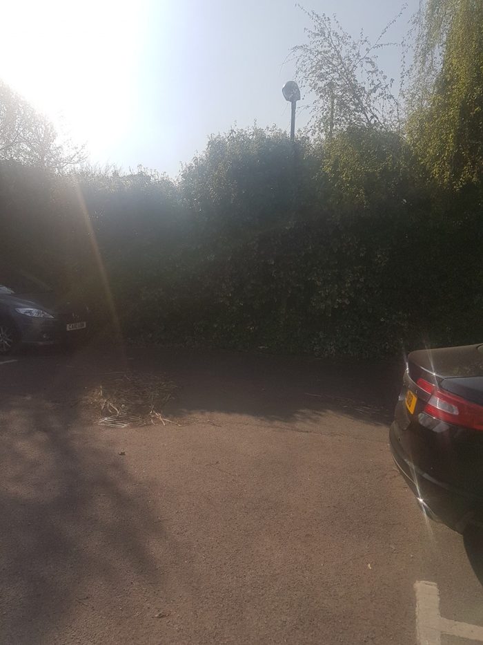 Photo of Varsity Drive, Richmond, TW1