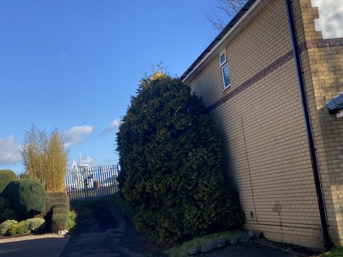 Photo of Amyas Close, Cardiff, CF11
