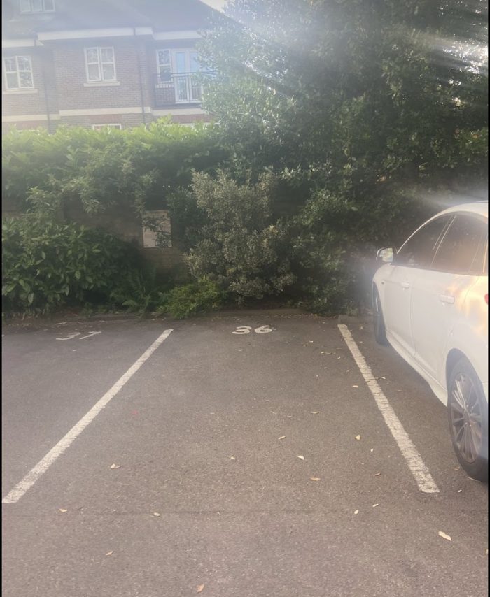 Photo of Claudia Place, Putney, SW19