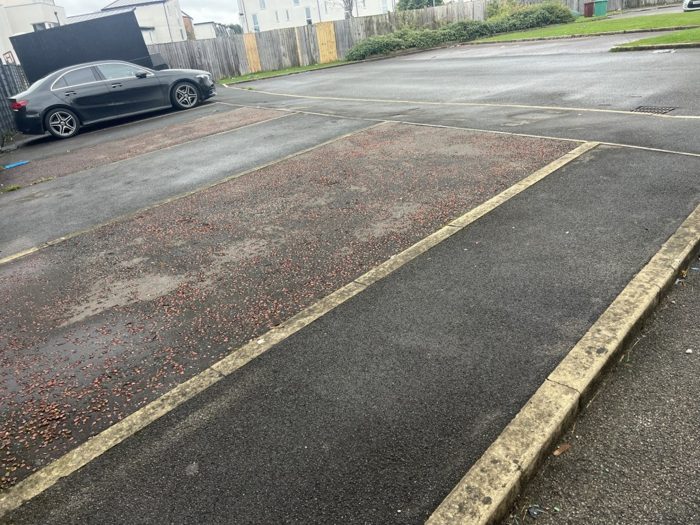 Photo of Lloyd Wright Avenue, Manchester, M11