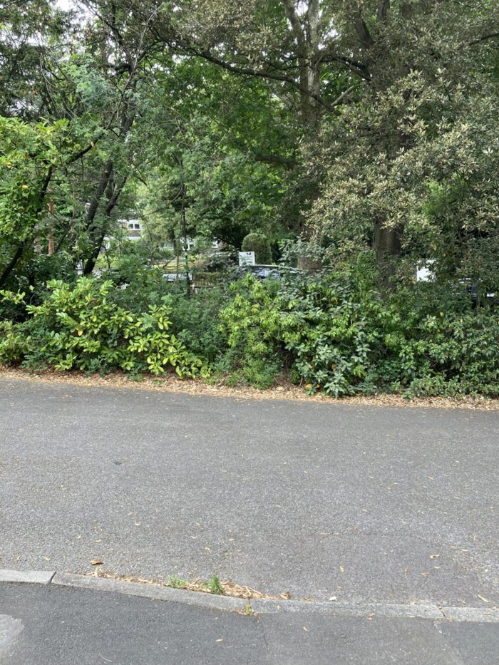 Photo of Somerset Road, Wimbledon, SW19
