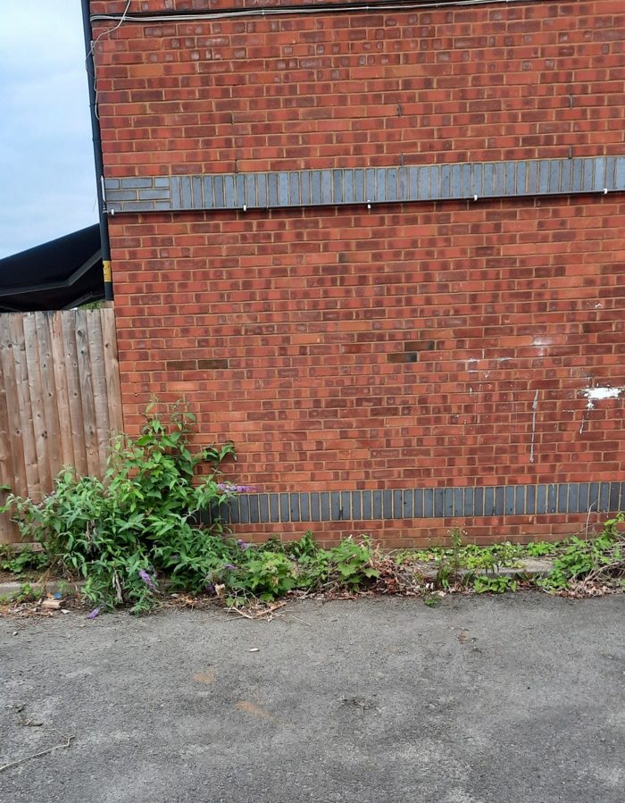 Photo of Bunning Way, Highbury, N7