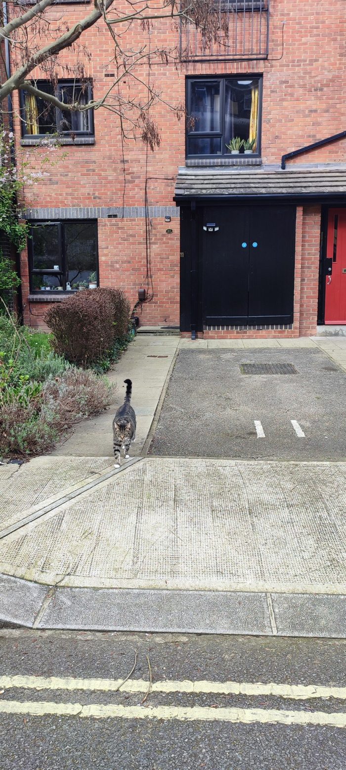 Photo of Parking space at Scotts Rd, W12
