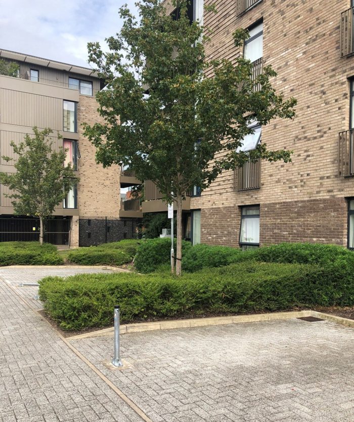 Photo of Lilywhite Drive, Cambridge, CB4